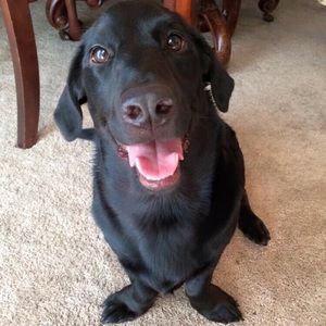 Meet your Posher, Jordan